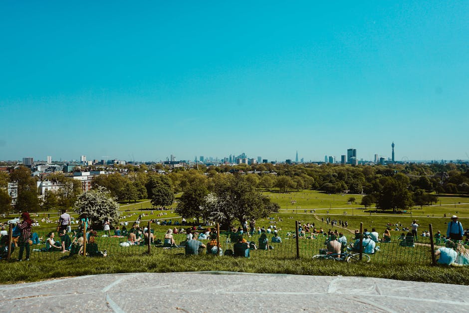 A wide view of a bustling park on a bright, sunny day with a clear blue sky. The park is filled with groups of people sitting on green grass, some with picnic blankets, enjoying the outdoors. Several 